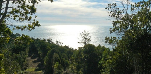 Punta Curiñanco Reserve