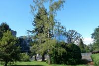 edificio_emilio_pugin_uach