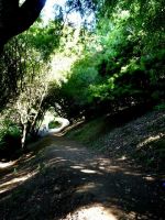 jardin_botanico_sendero