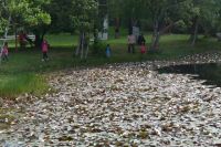 laguna_floor_loto_02