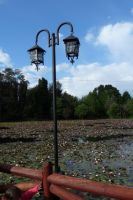 mirador_laguna_florde_loto