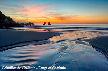Colmillos de Chaihuín - Fangs of Chaihuín