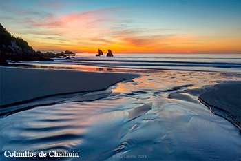 Colmillos de Chaihuín - Fangs of Chaihuín