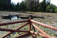 mirador_parque_saval