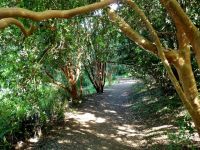 sendero_jardin_botanico