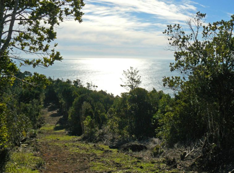 Punta Curi&ntilde;anco Reserve