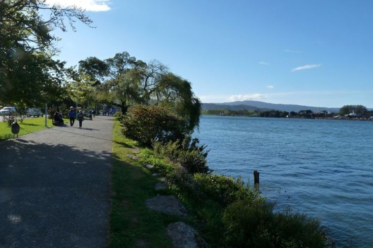 Galer&iacute;a Av. Costanera