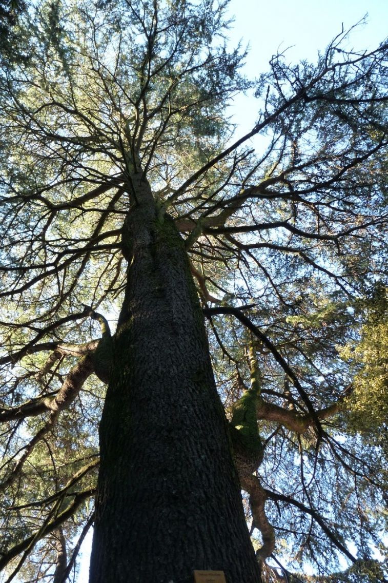 Parque y Casa Prochelle