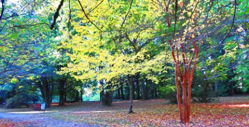 Jard&iacute;n Bot&aacute;nico,  UACh